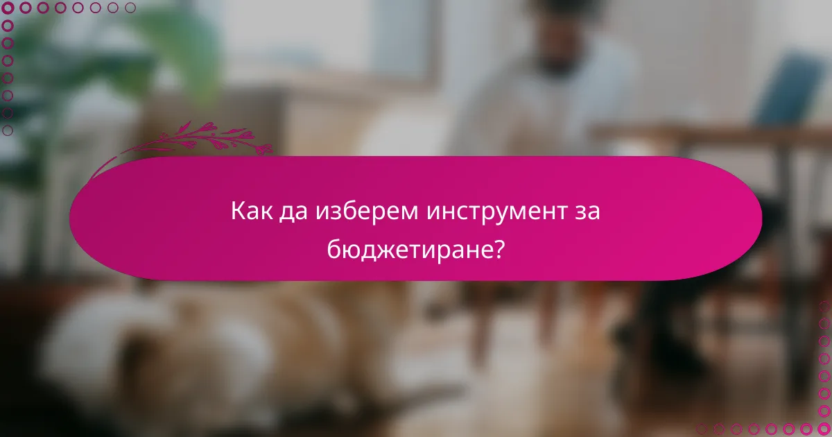 Как да изберем инструмент за бюджетиране?