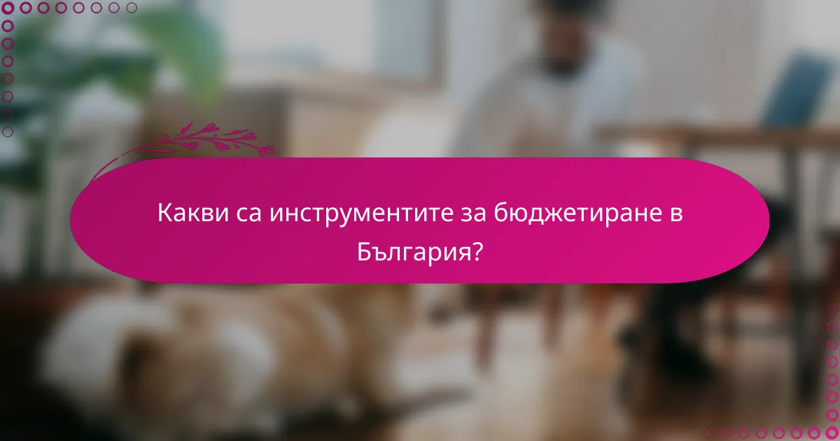Какви са инструментите за бюджетиране в България?