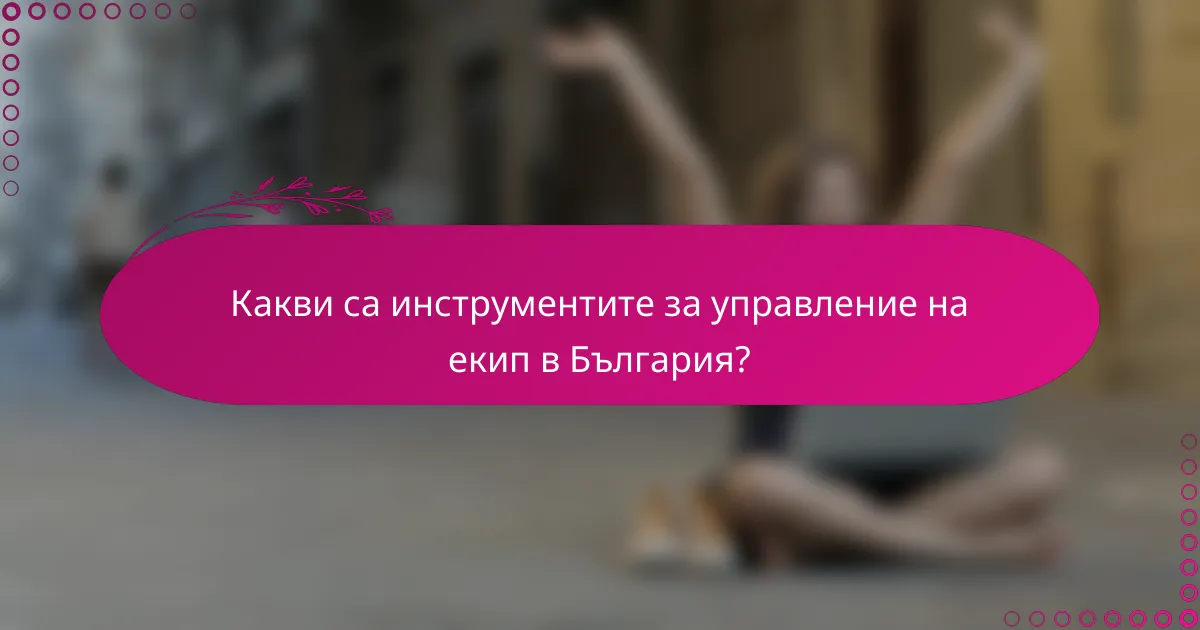 Какви са инструментите за управление на екип в България?