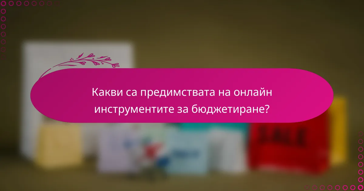 Какви са предимствата на онлайн инструментите за бюджетиране?