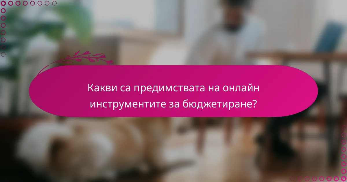 Какви са предимствата на онлайн инструментите за бюджетиране?